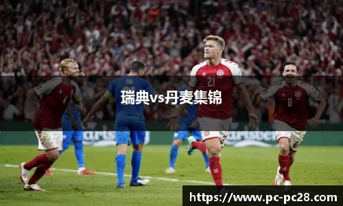 瑞典vs丹麦集锦